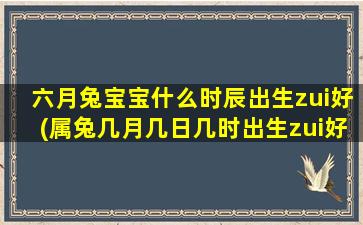 六月兔宝宝什么时辰出生zui
好(属兔几月几日几时出生zui
好命 🐝 )